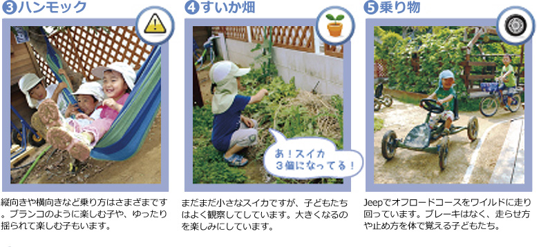 園庭の魅力