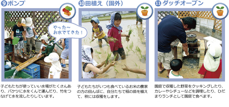 園庭の魅力