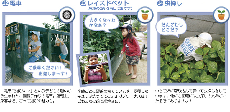 園庭の魅力