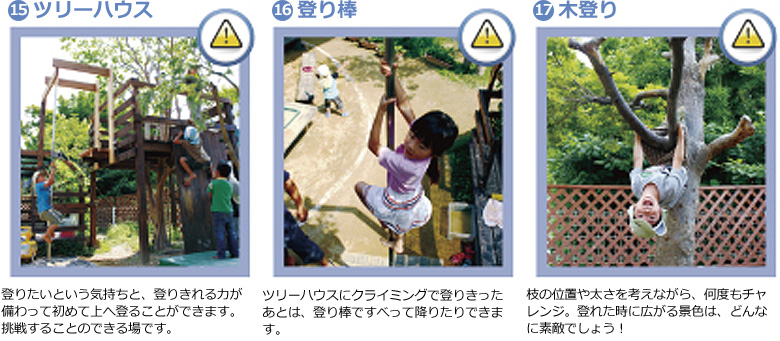 園庭の魅力